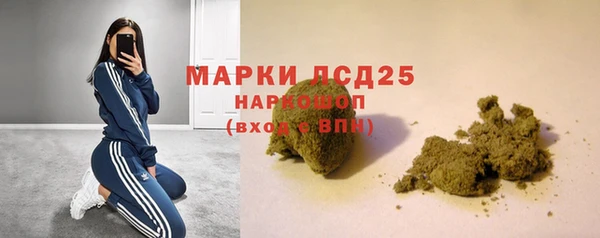 хмурый Алексин