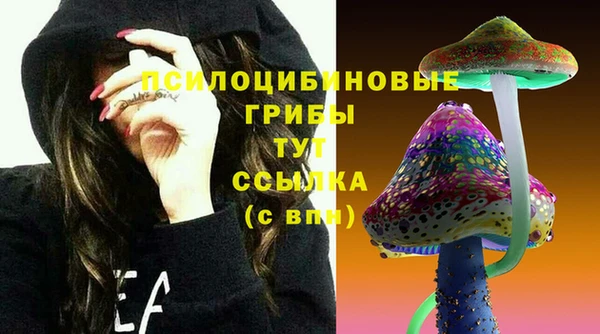 хмурый Алексин