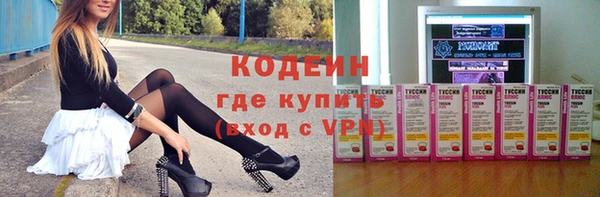 хмурый Алексин