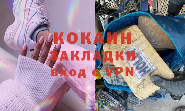 хмурый Алексин